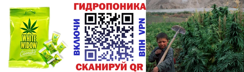 Купить закладки  Кировград  Печенье с ТГК конопля 