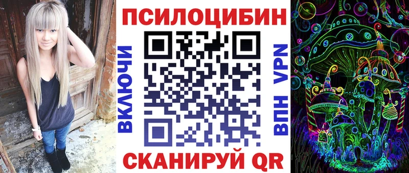 Купить закладки Кировград Псилоцибиновые грибы GOLDEN TEACHER